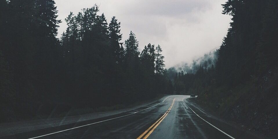 edinybeany's profile banner image