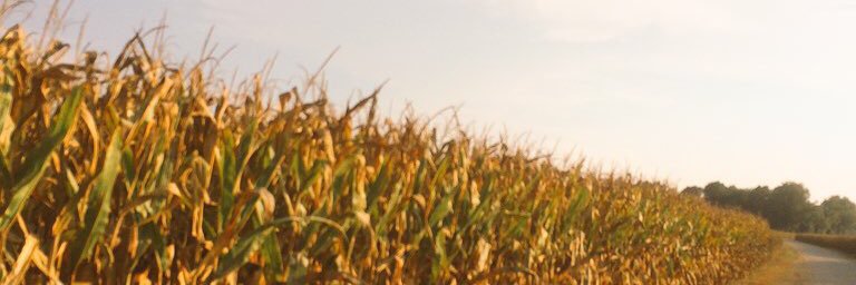 ClarkParkMusic's profile banner image