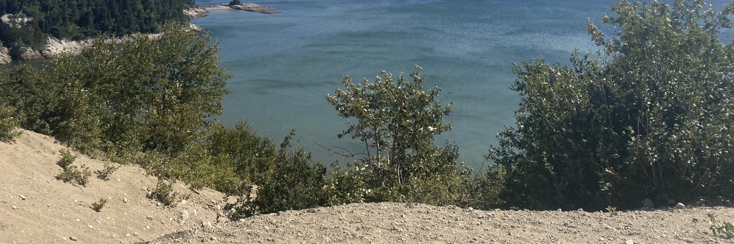 marikalaforest's profile banner image