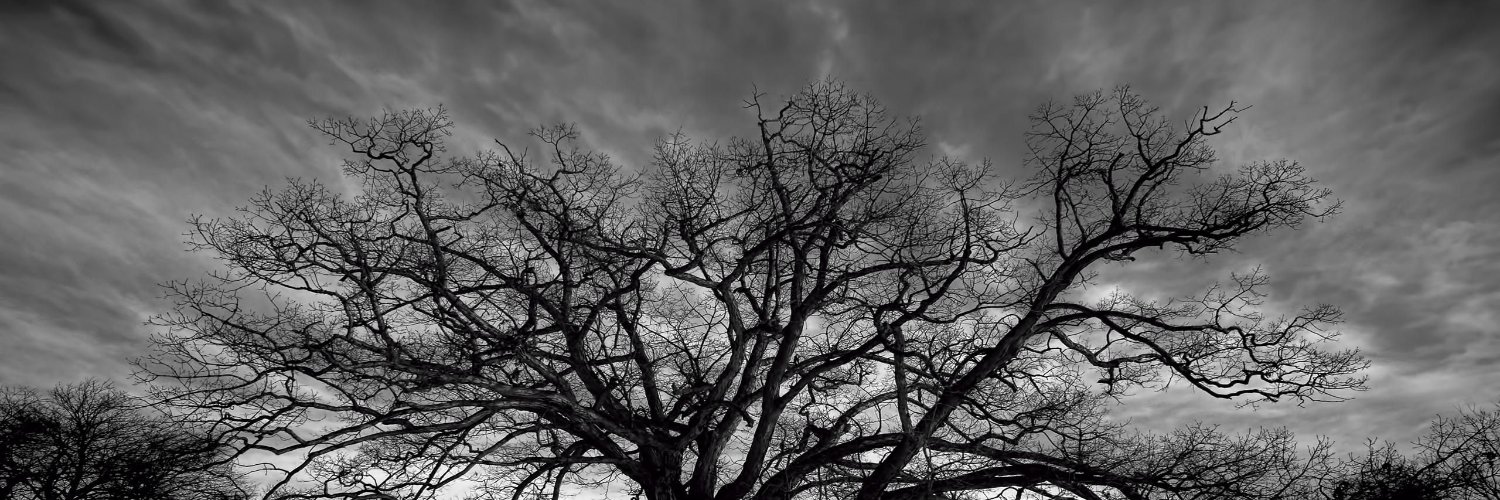 ignaciosbg1's profile banner image