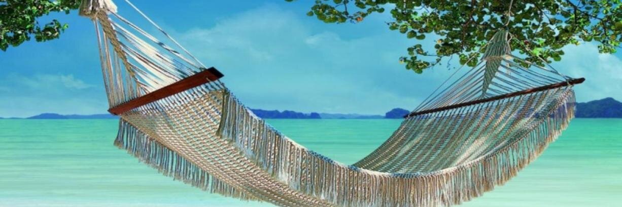 viioleta23's profile banner image