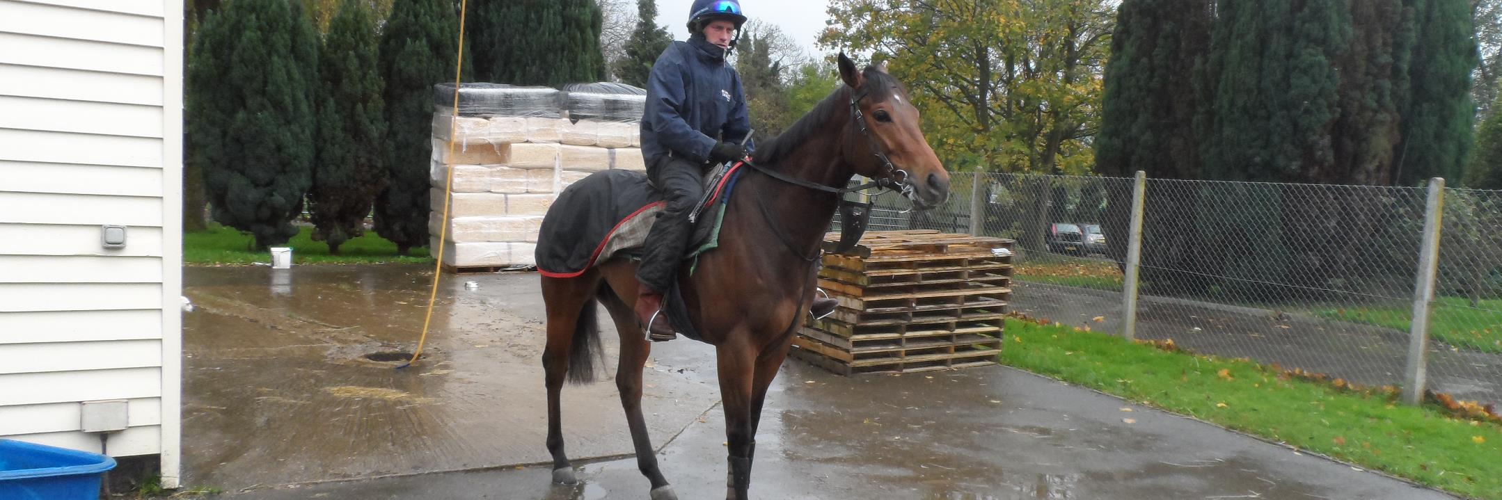 Michael Cross banner