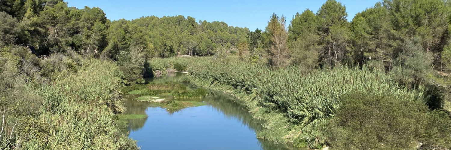 Chelo Calafat banner