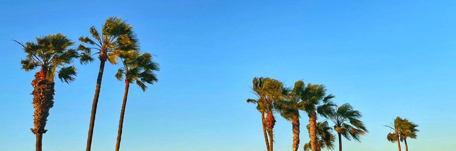 RFagut's profile banner image