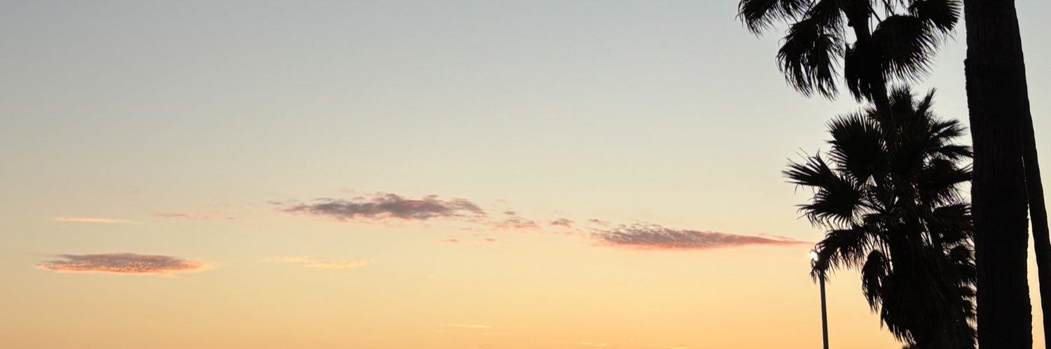 amerzs1's profile banner image
