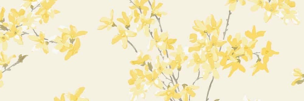 Lauren_Chaise's profile banner image