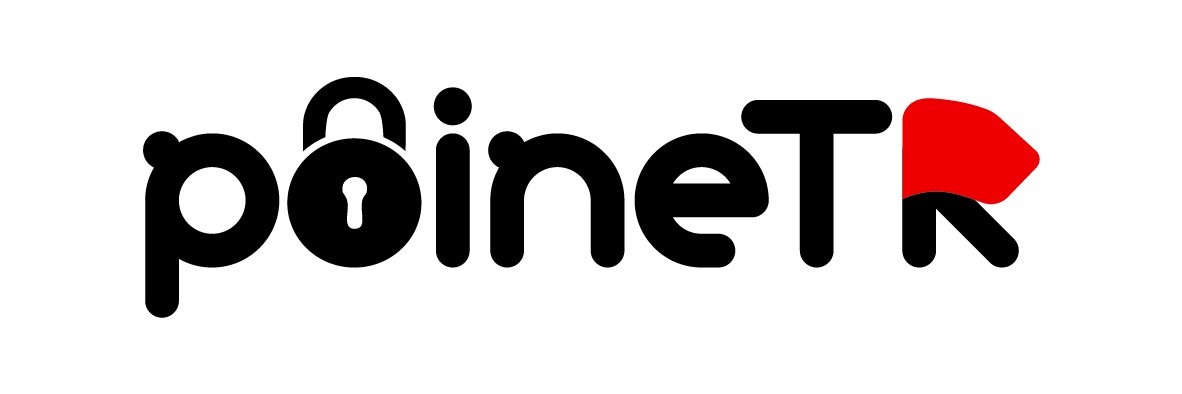 _poinetr's profile banner image