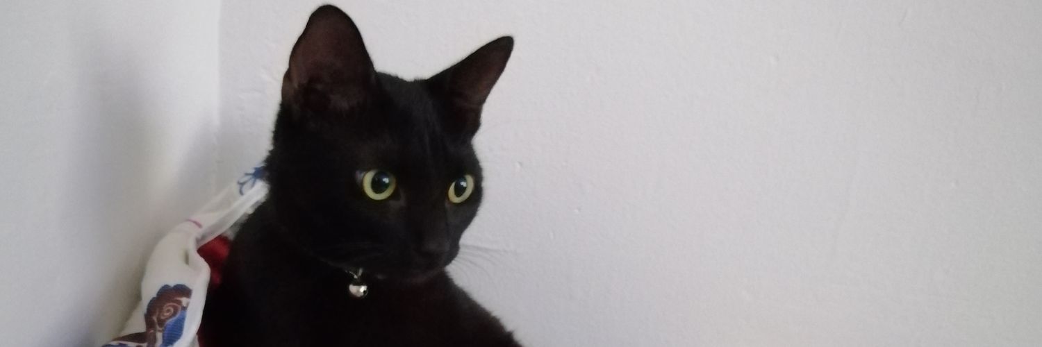 stevens_69's profile banner image
