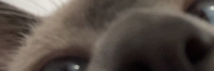 thottytodd's profile banner image