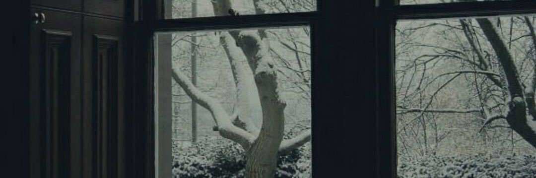 Zebra_ololo's profile banner image
