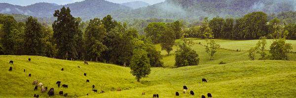 Virginia Piedmont Heritage Area banner