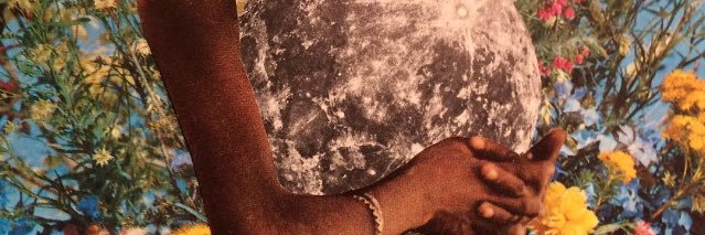 gamzehasim's profile banner image