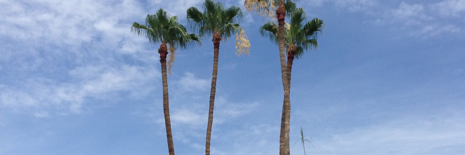 rmonts35's profile banner image