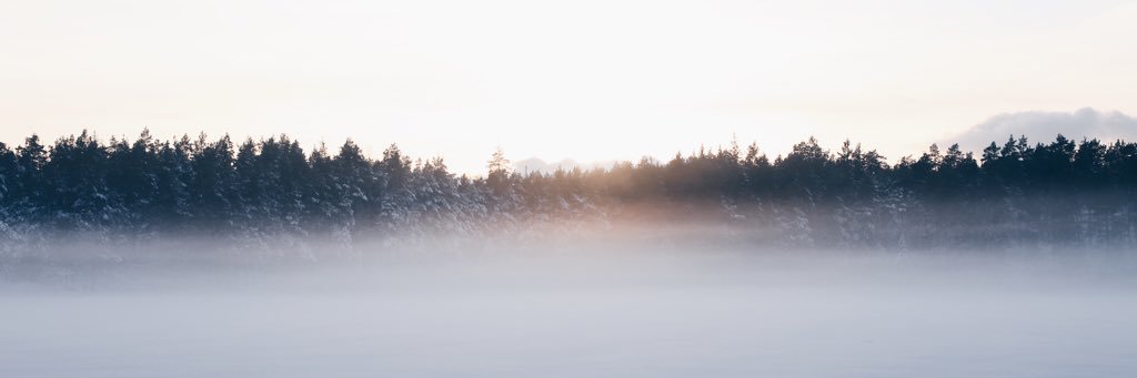 Ludvig Bergander banner