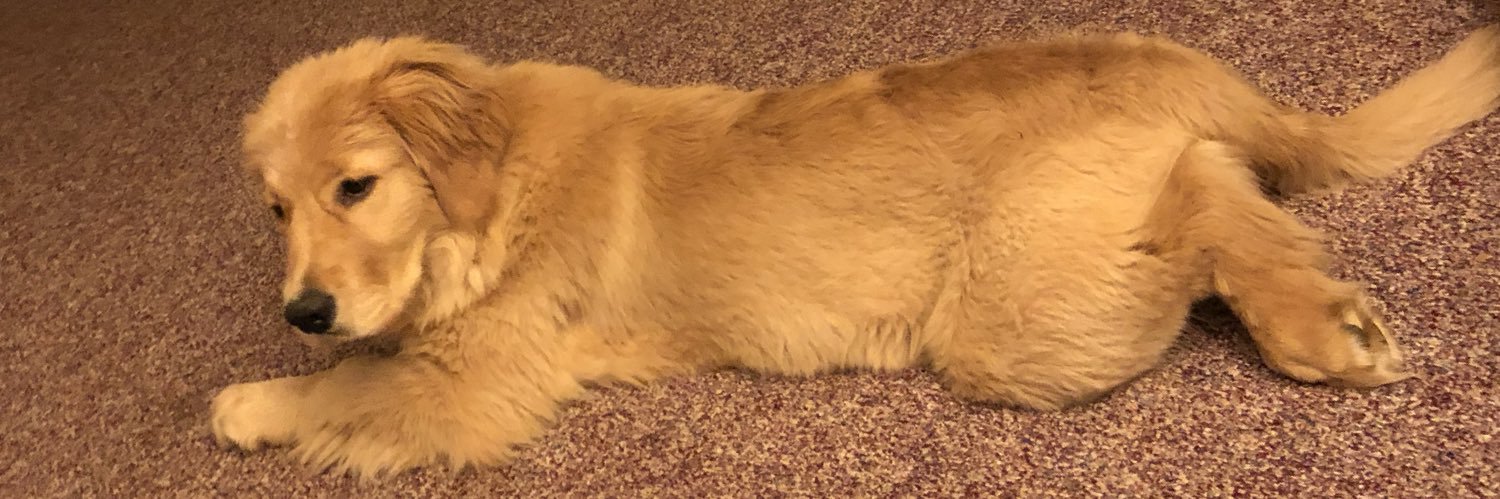 DishwasherEmpty's profile banner image