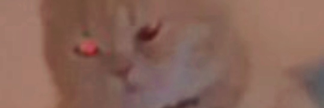 Sxhxin's profile banner image