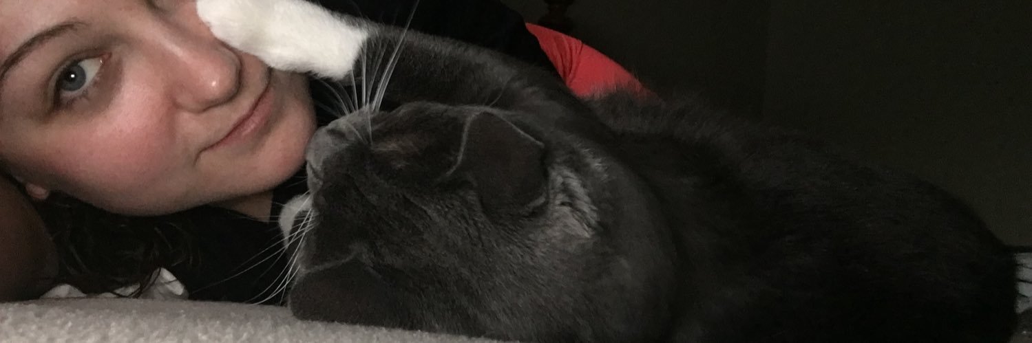 lainiefortner's profile banner image