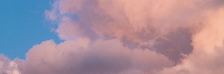 Thuy-My banner