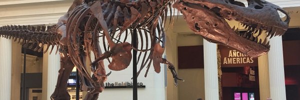 kidneybloke Profile Banner