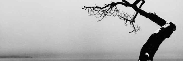 Damian banner