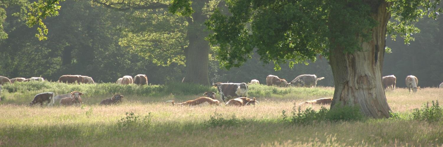 Charlie Burrell banner