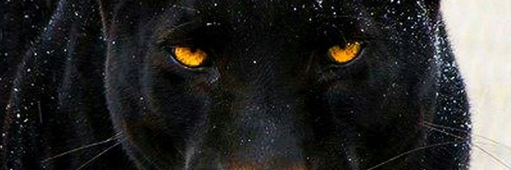Restauro59's profile banner image