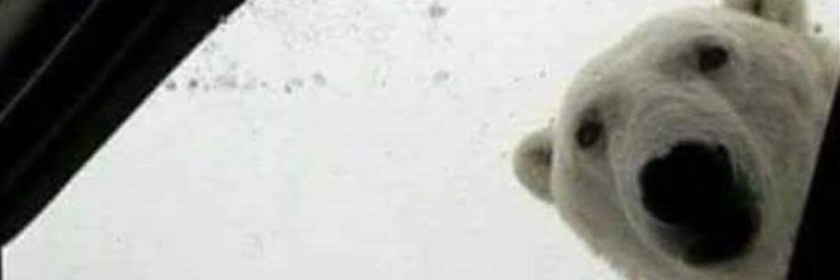 razokan5's profile banner image