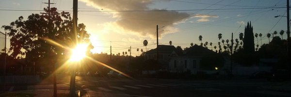 Phoenix24Femme Profile Banner