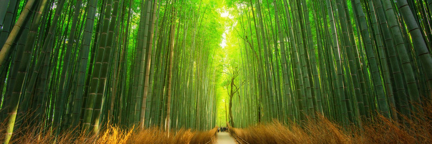 lettherebelight banner