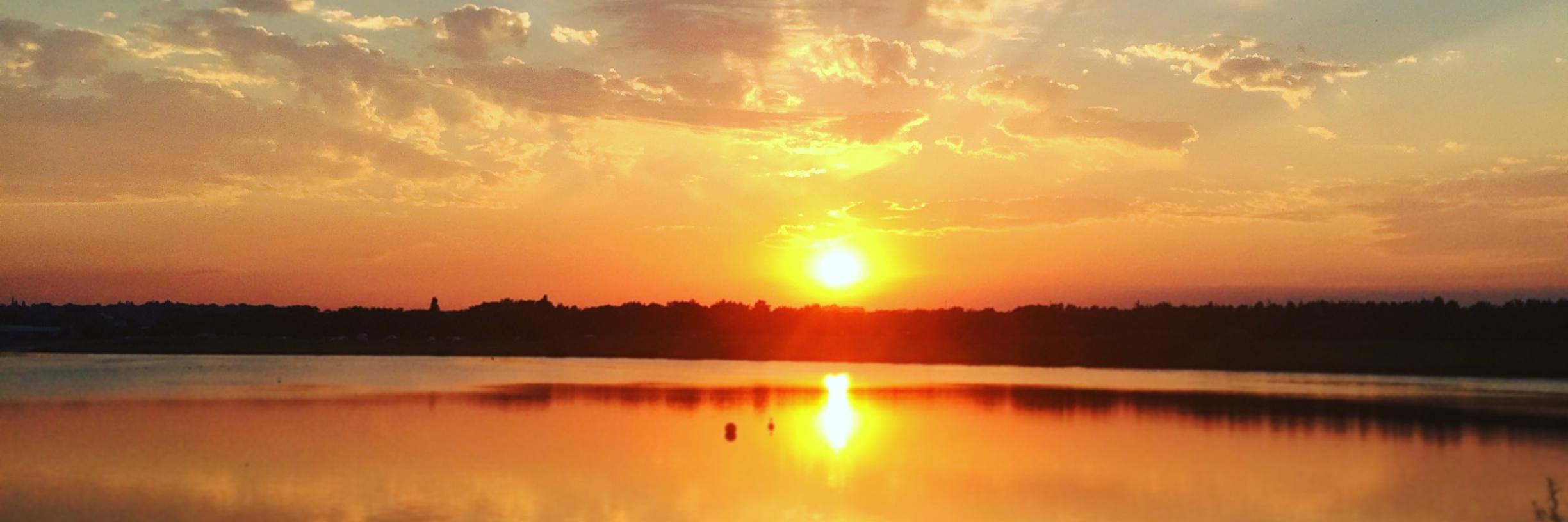 Rosie Gillott banner