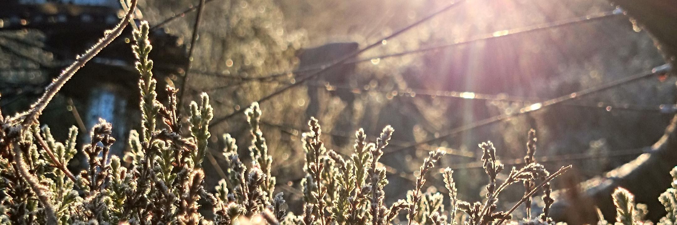erikherou's profile banner image