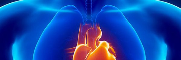 HamidChalianMD Profile Banner