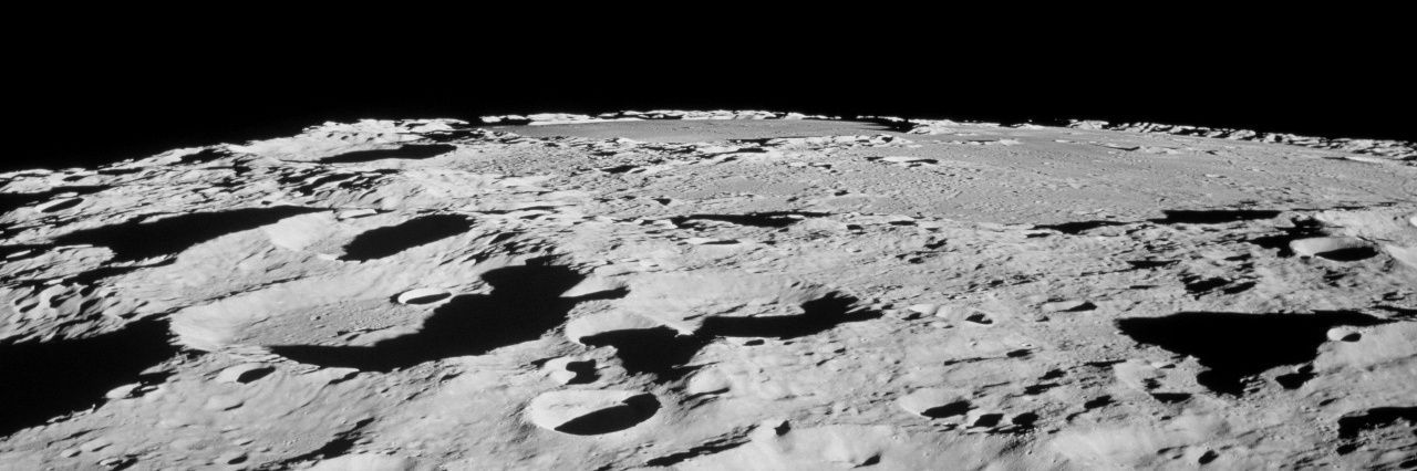 Flying Ostrich Media, Inc. banner