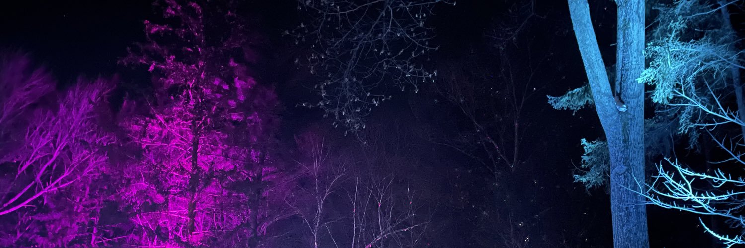 _meebeeb_'s profile banner image
