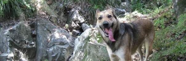 Cabezonao's profile banner image