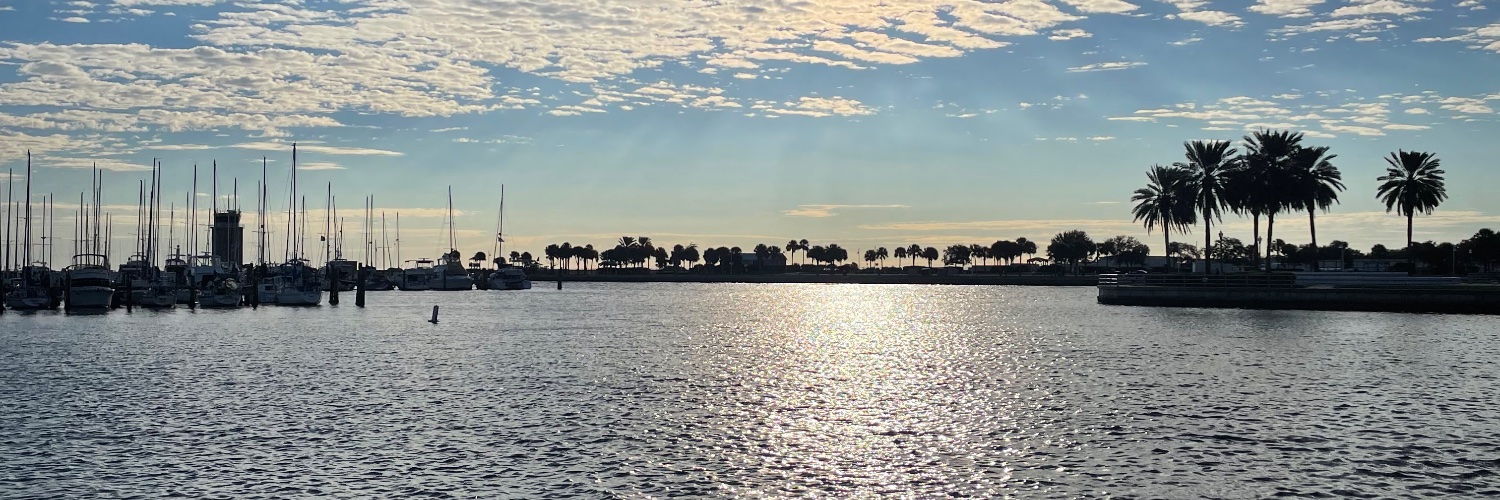 This is my better side banner