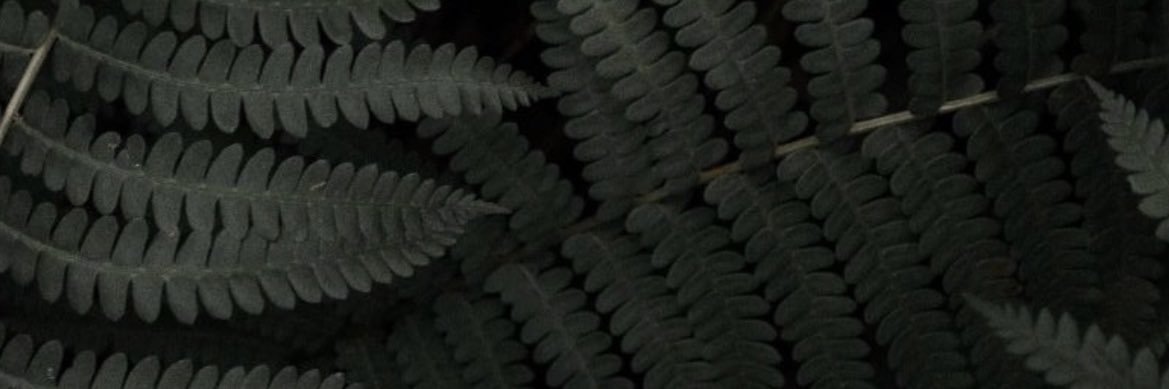 jay_shootz's profile banner image