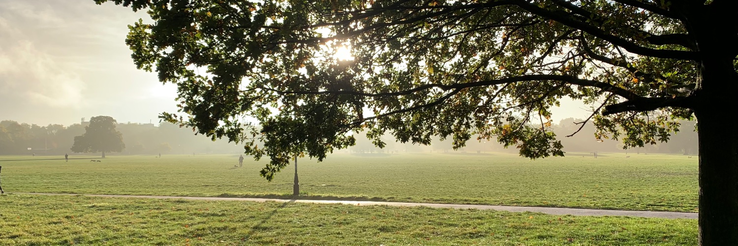 StephnHabberley's profile banner image