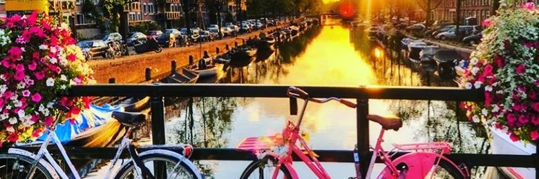 neveen hassan banner