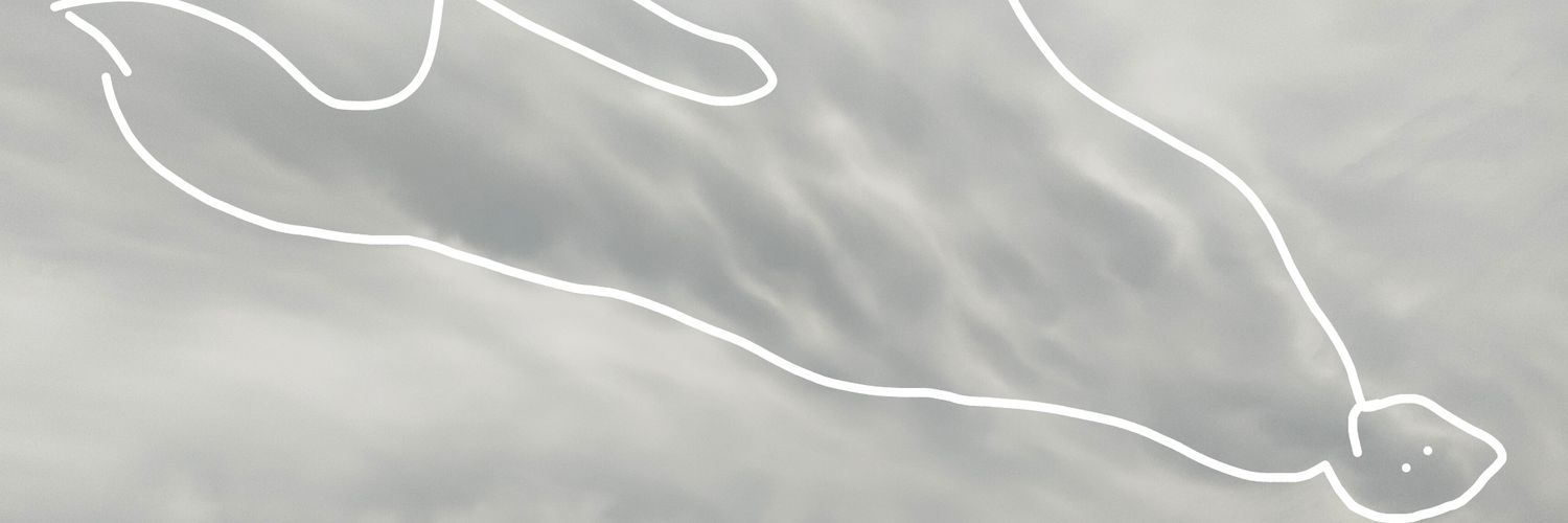 Starjoy7's profile banner image