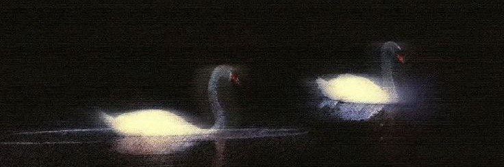 v__espertine's profile banner image