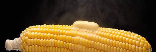 spadaboom1 Profile Banner