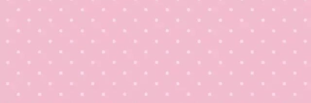 elle woods banner
