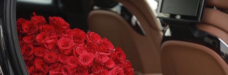 MissBeesh's profile banner image