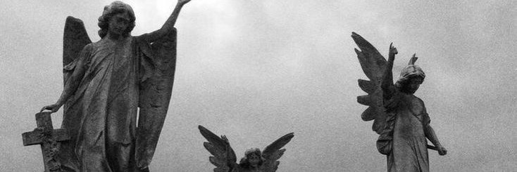 e c o banner