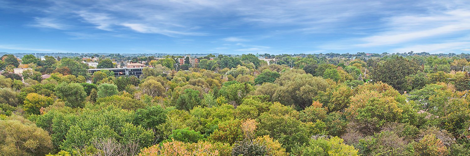 AlexDownRealtor's profile banner image