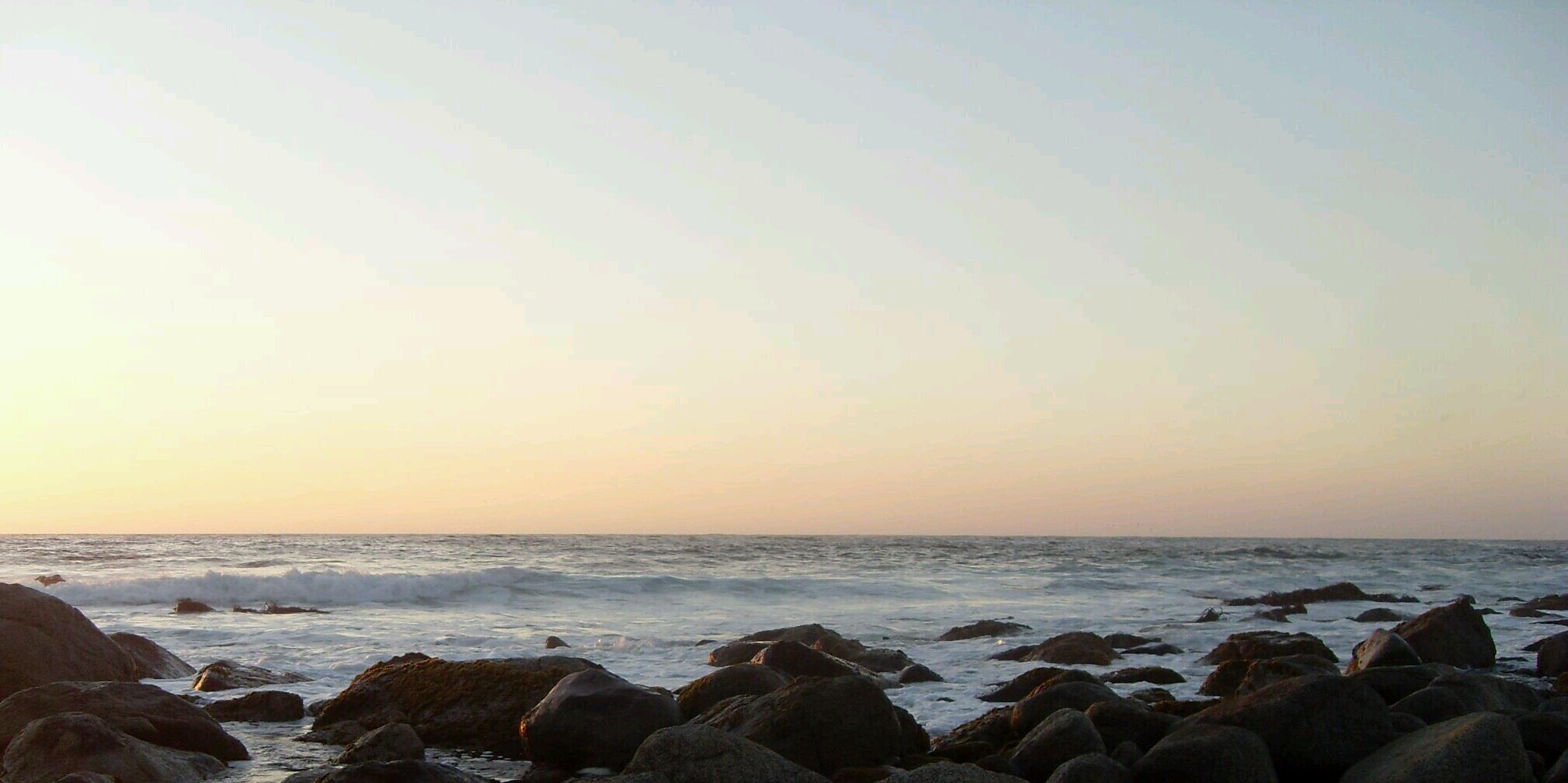 GraceBNeumann's profile banner image