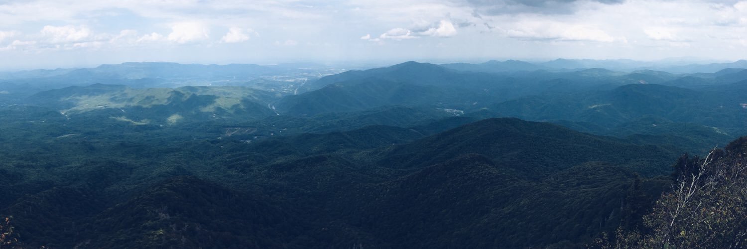 DearBree98's profile banner image