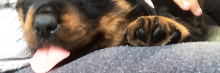 _GabrielaCe's profile banner image
