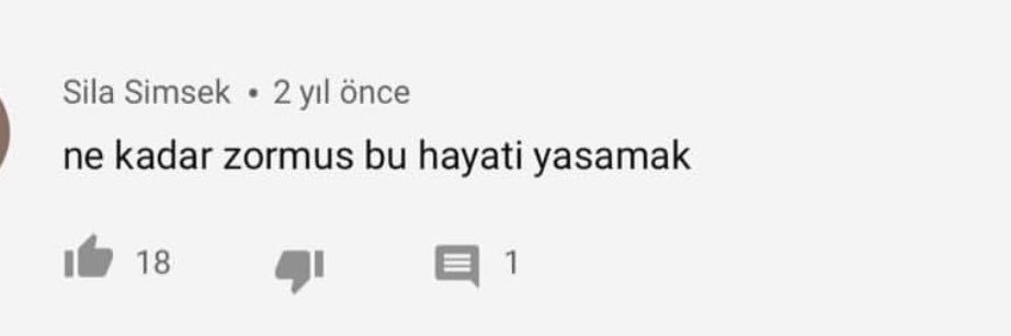 Doğan banner